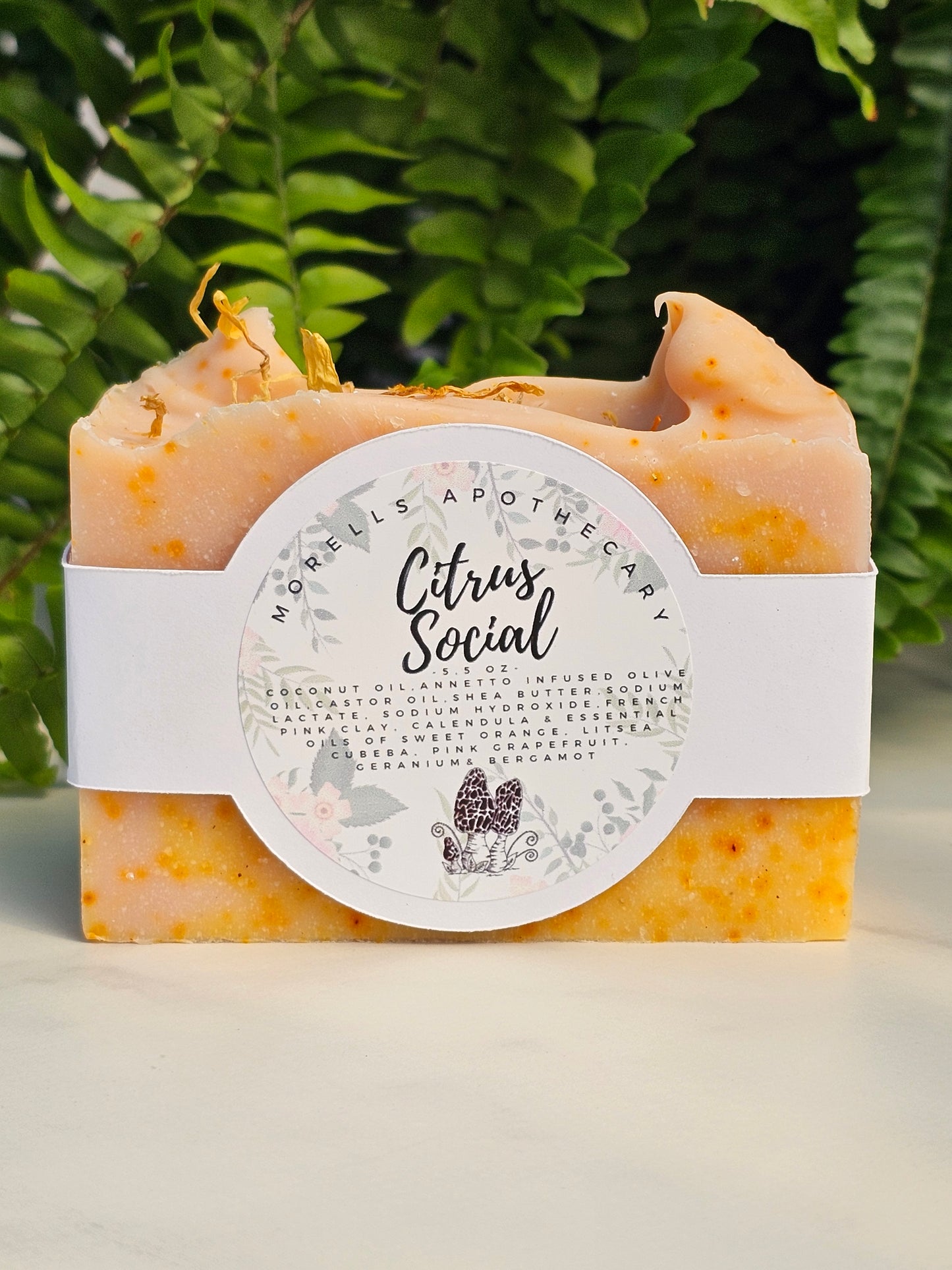 Citrus Social